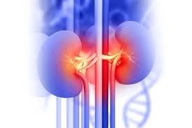 سایر کنگره های بین المللی